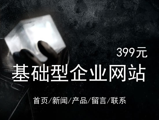 淄博市网站建设网站设计最低价399元 岛内建站dnnic.cn